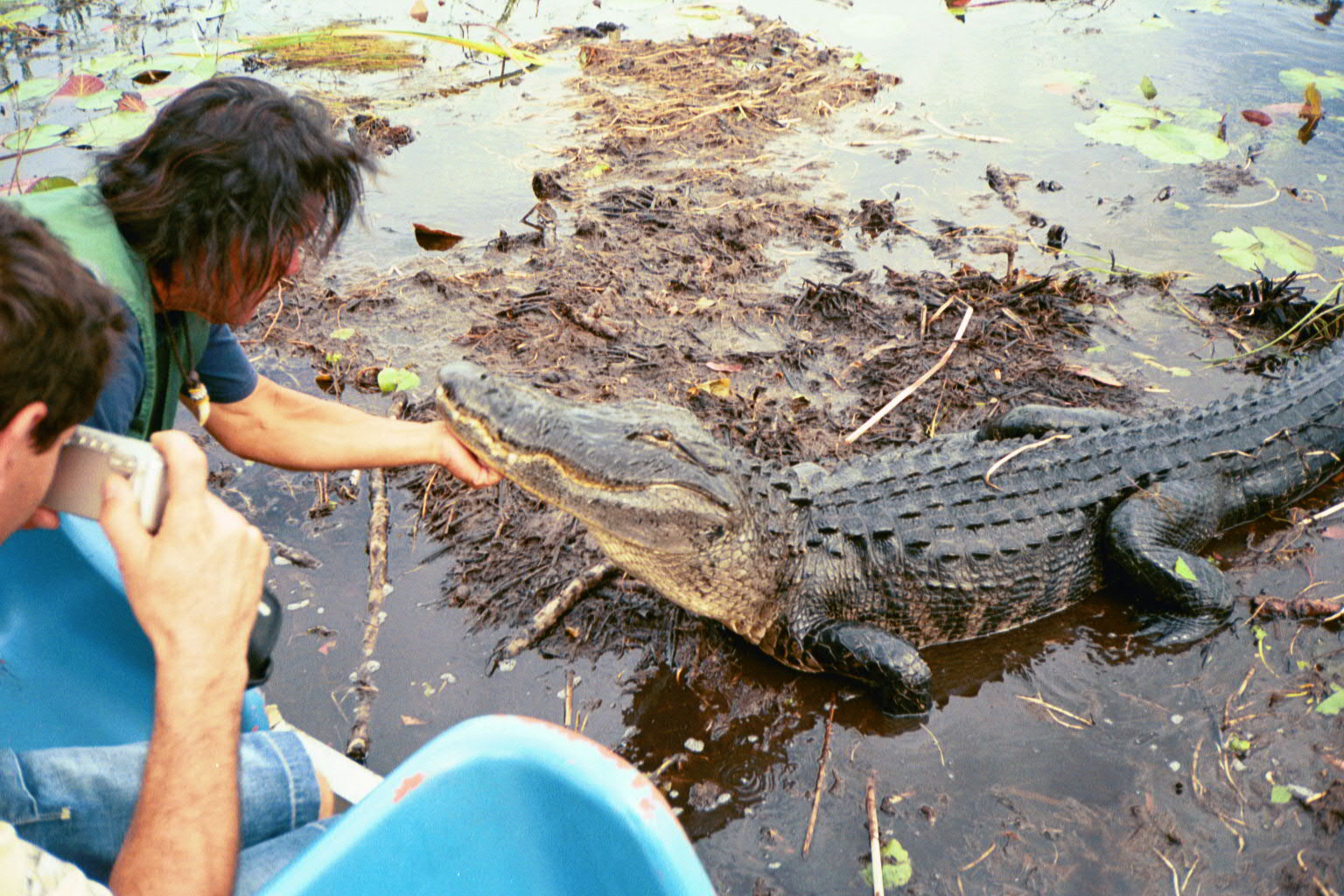Krokodil