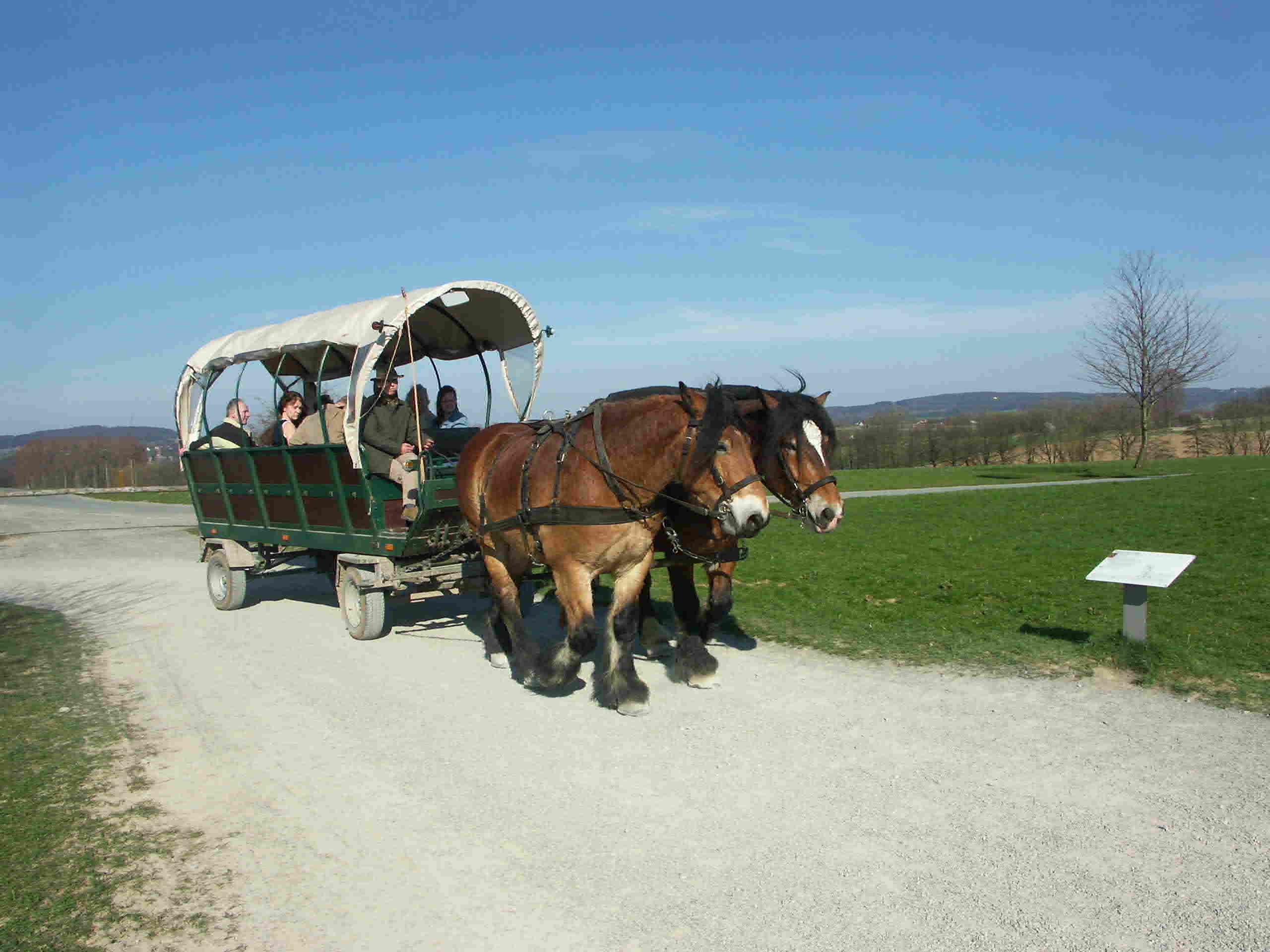 Westf&auml;lisches-Freilichtmuseum 
